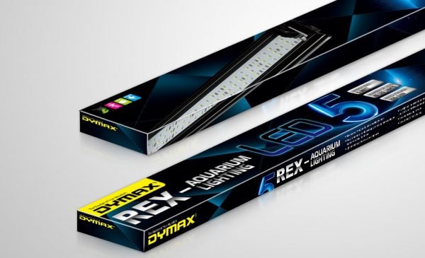 REX-LED LIGHTING 80cm Blue/White