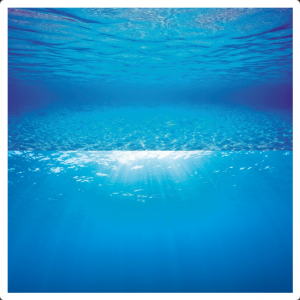 JUWEL POSTER 2 OCEAN S SIZE 60X30CM