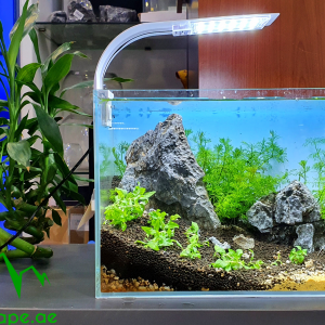 Nature in a Cube