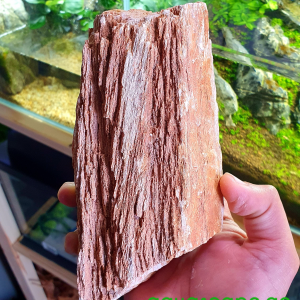samurai rock