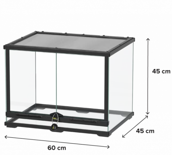 Terralantis Glass Terrarium 60x45x45cm - Image 2