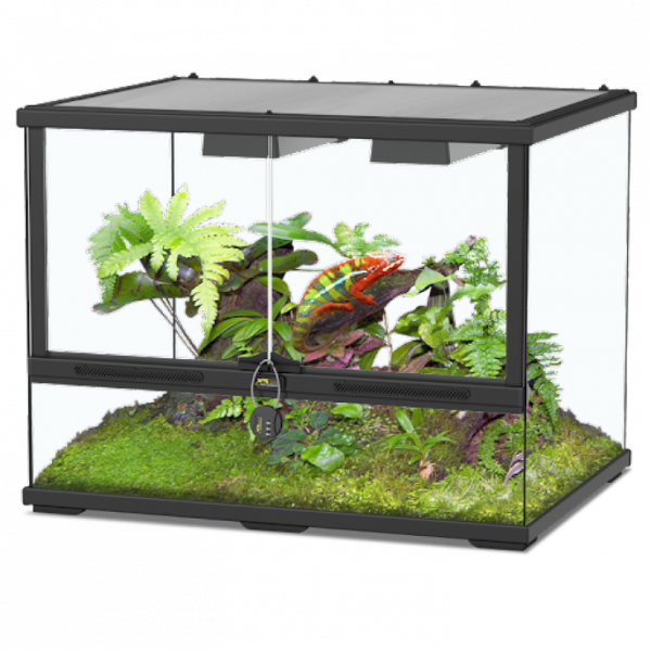 Terralantis Glass Terrarium
