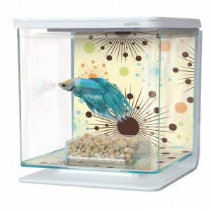Marina Betta Kit Boy Fireworks 2L