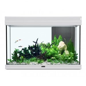 Fusion 80 Aquarium 80x40x55 White (without filtration)