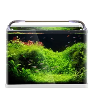 Crystal Aquarium set 50x30x30