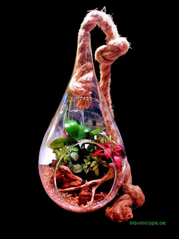 Hanging Glass Terrarium 30cm