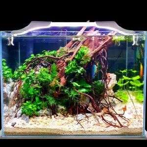 Aquascape Aquarium Ready Set #6527