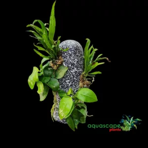 Ceramic Plant Tower