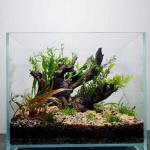 Aquascaping kit wood 28x20x25