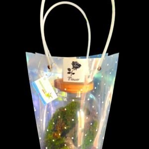Terrarium as a gift