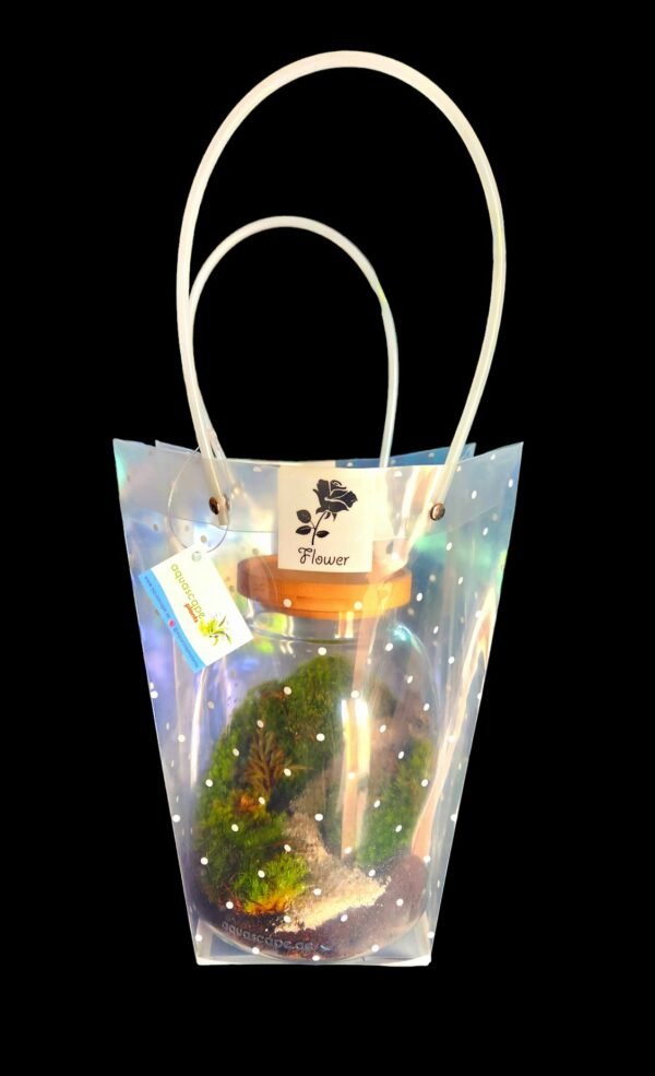 Terrarium as a gift