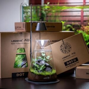 Terrarium Corporate Workshops