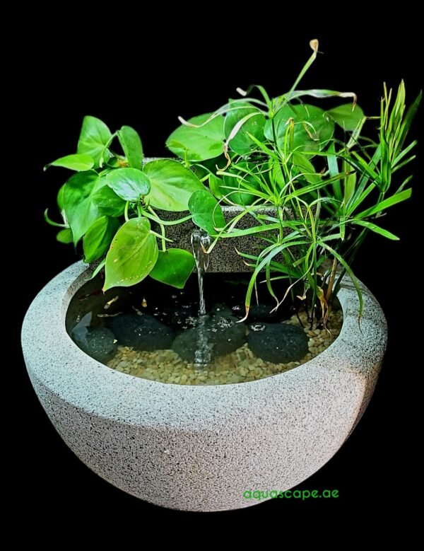 Aquascape AquaGarden Mini Pond Kit