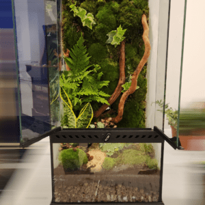 Ready Tropical Terrarium 30x30x60 Tall