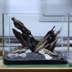 Prescaped Tank