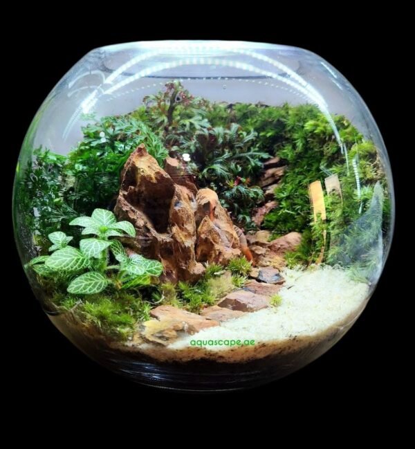 Lush Tropical Terrarium in a Glass Bowl